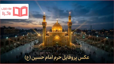 عکس پروفایل حرم امام حسین (ع)