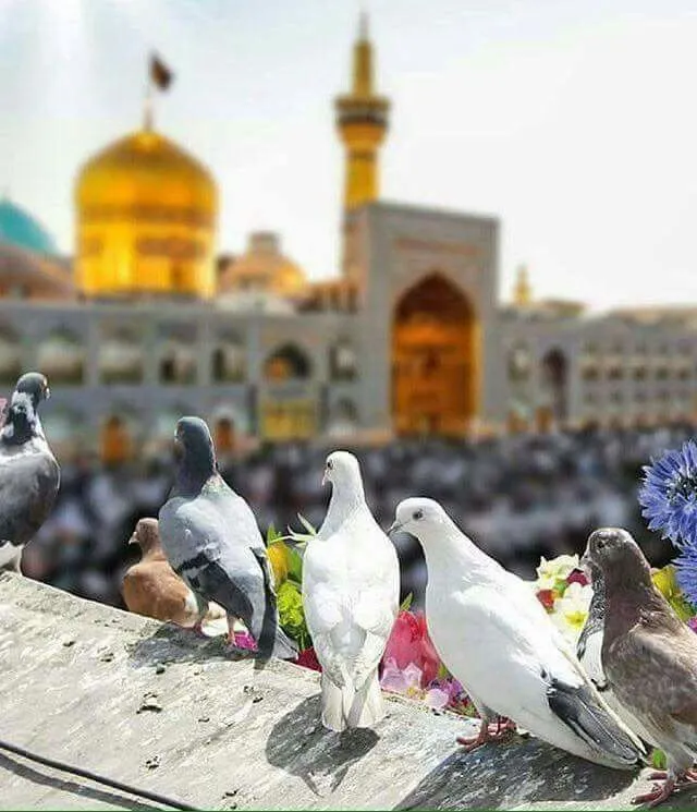 عکس پروفایل حال و هوای مشهد