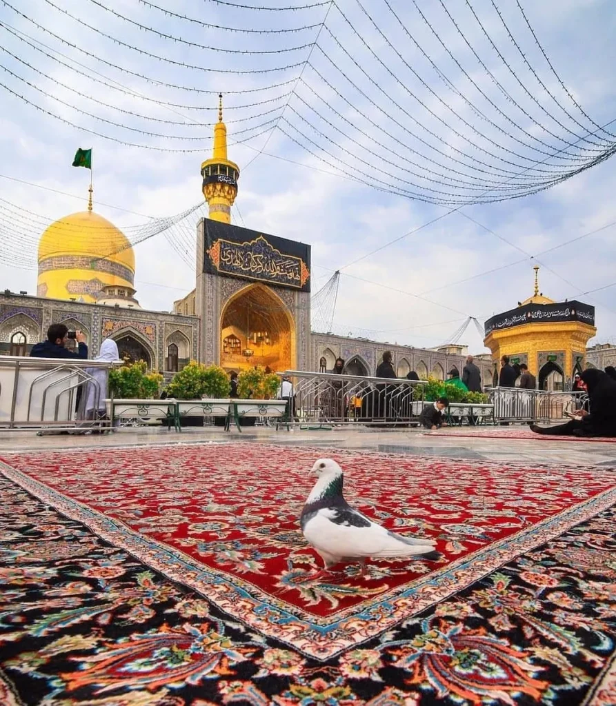 عکس حرم امام رضا برای پروفایل
