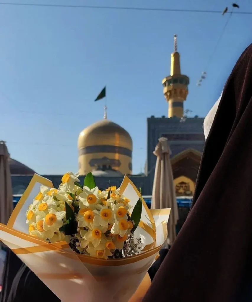 عکس پروفایل عاشق امام رضا