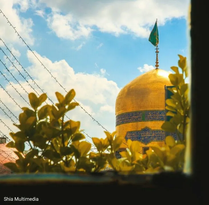 عکس پروفایل زائر در حرم امام رضا