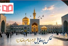 عکس پروفایل حرم امام رضا (ع)