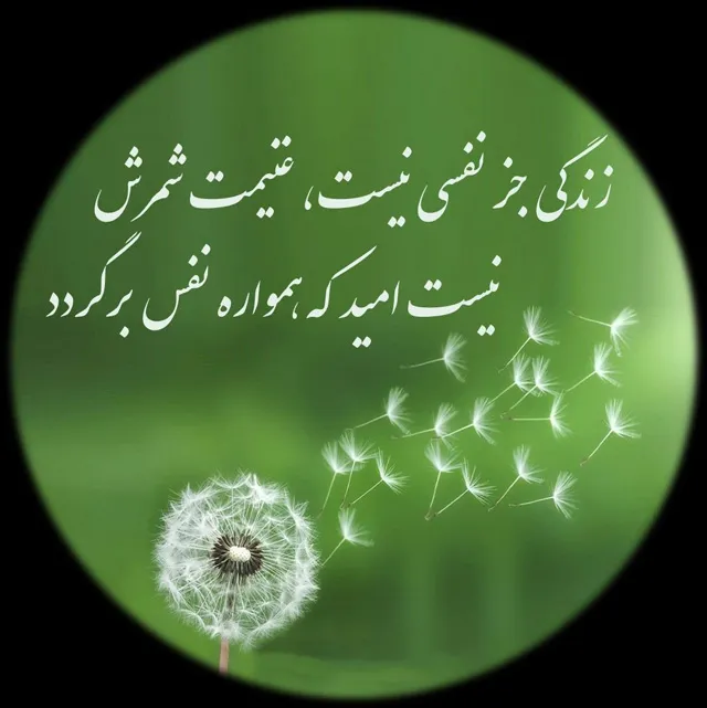 عکس نوشته شعر کوتاه درباره زندگی