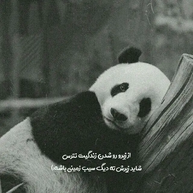 عکس پروفایل دخترانه خاص با متن