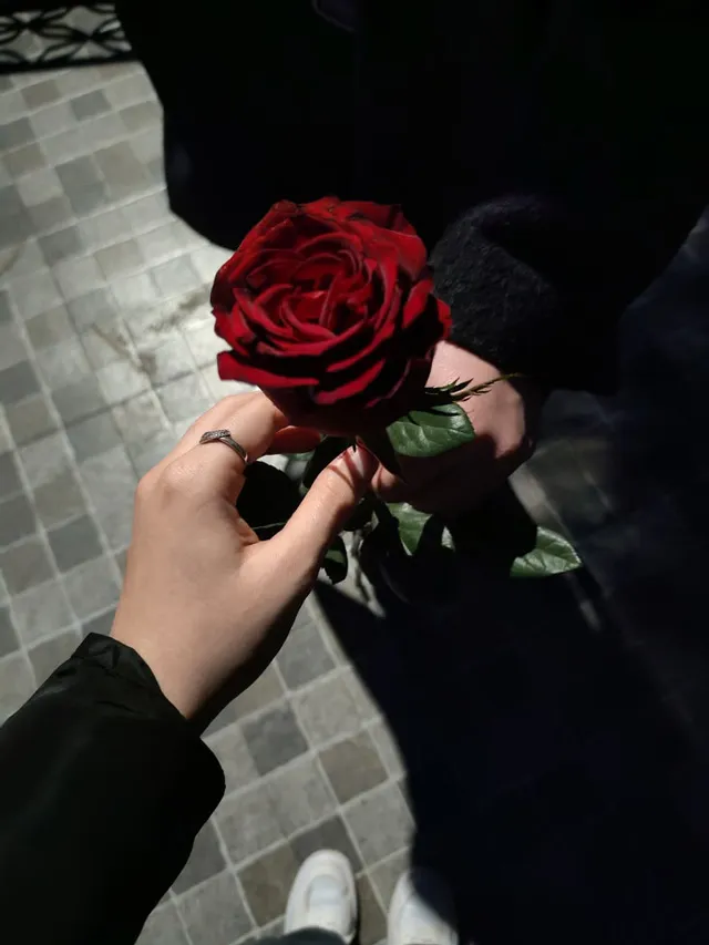 عکس پروفایل ست عاشقانه ساده