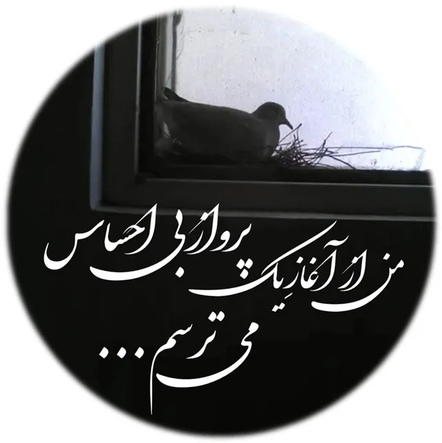 عکس پروفایل طعنه دار برای اینستا