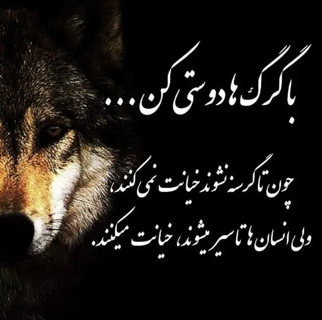 عکس پروفایل طعنه دار به آدم دورو
