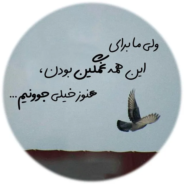 عکس پروفایل طعنه دار خفن