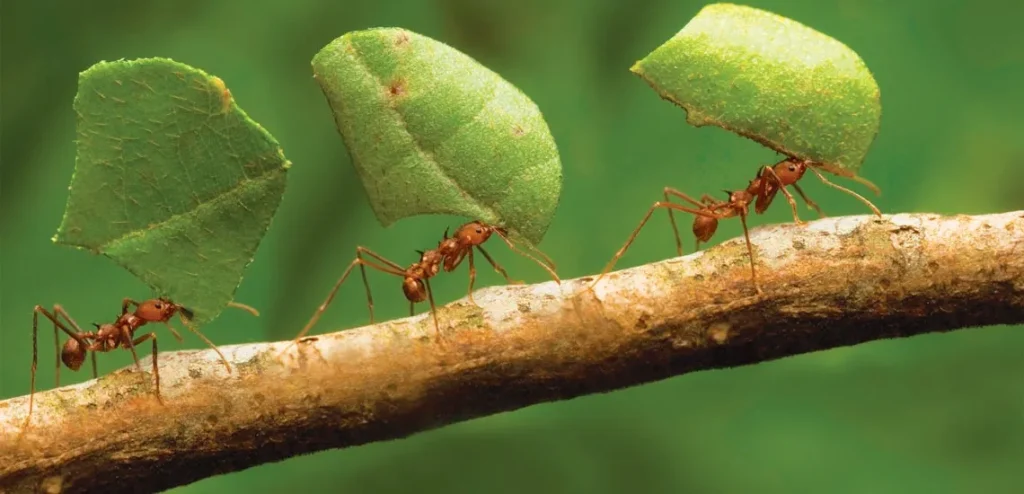 نوشته انگیزشی برای اراده و پشتکار