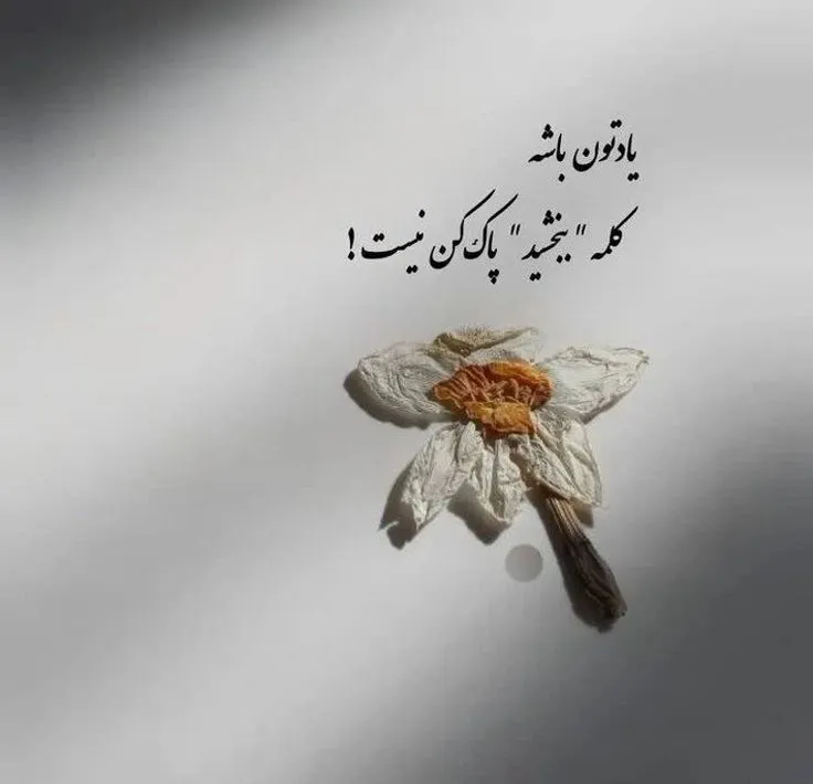 عکس پروفایل اینستایی با متن