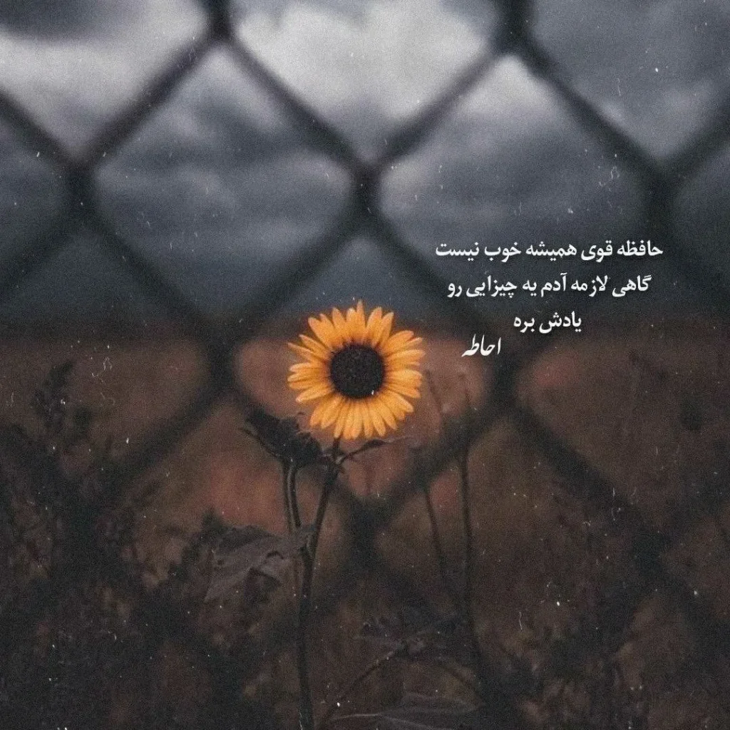 عکس پروفایل شیک متن دار