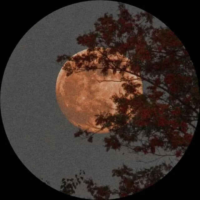 عکس پروفایل واتساپ برای افراد خاص
