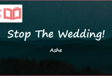 متن و ترجمه آهنگ Stop The Wedding از Ashe