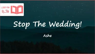 متن و ترجمه آهنگ Stop The Wedding از Ashe