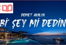 متن و ترجمه آهنگ Bi’ Şey Mi Dedin از Demet Akalın