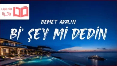 متن و ترجمه آهنگ Bi’ Şey Mi Dedin از Demet Akalın