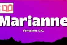 متن و ترجمه آهنگ Marianne از Fontaines D.C