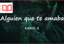 متن و ترجمه آهنگ Alguien que te amaba از KAROL G