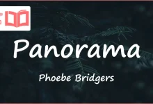 متن و ترجمه آهنگ Panorama از Phoebe Bridgers