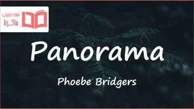 متن و ترجمه آهنگ Panorama از Phoebe Bridgers
