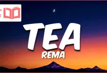 متن و ترجمه آهنگ TEA از Rema