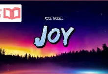 متن و ترجمه آهنگ Joy از ROLE MODEL