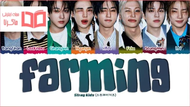 متن و ترجمه آهنگ FARMING از Stray Kids