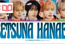 متن و ترجمه آهنگ Setsuna Hanabi (Natsuyoi Ver.) از TXT