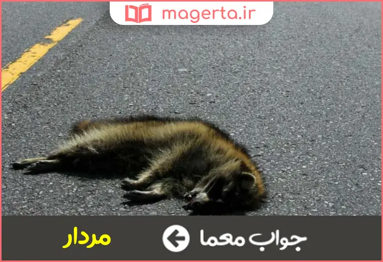 جواب معما لاشه حیوان در جدول