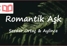 متن و ترجمه آهنگ Romantik Aşk از Aylince و Serdar Ortaç