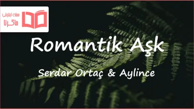 متن و ترجمه آهنگ Romantik Aşk از Aylince و Serdar Ortaç