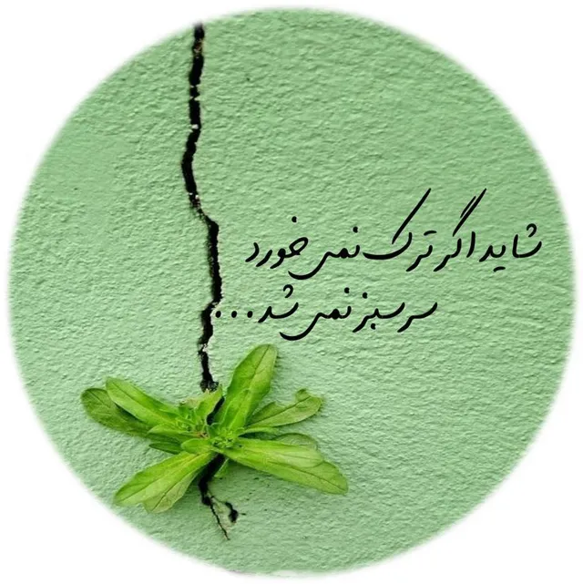 عکس پروفایل نامردی برای تلگرام