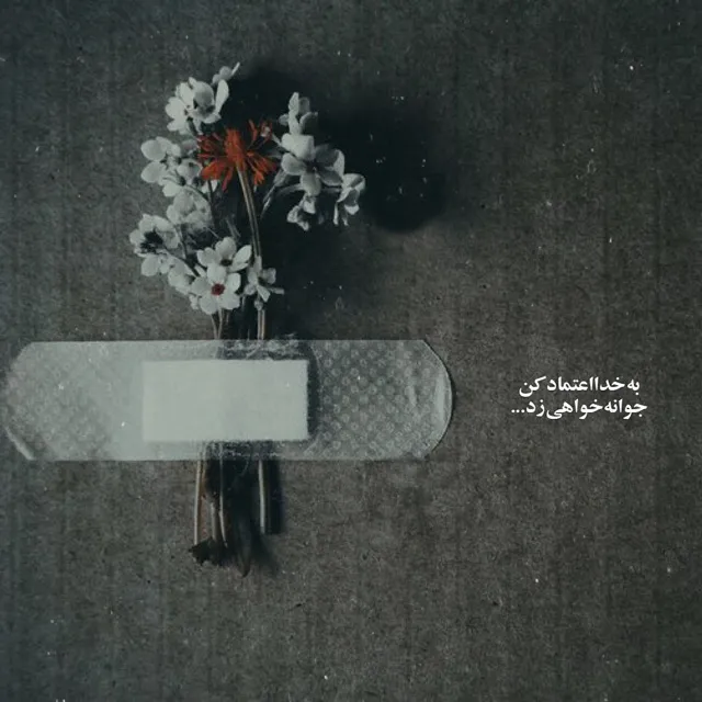 دانلود عکس پروفایل نامردی تیکه دار
