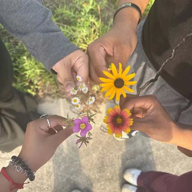 عکس گروه دختر و پسر برای روبیکا
