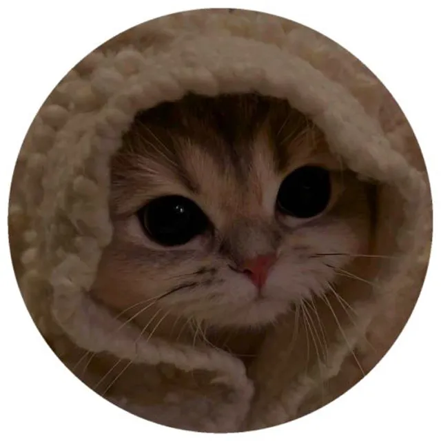 عکس پروفایل گربه با بک گراند فانتزی