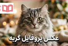 عکس پروفایل گربه