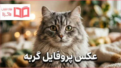 عکس پروفایل گربه
