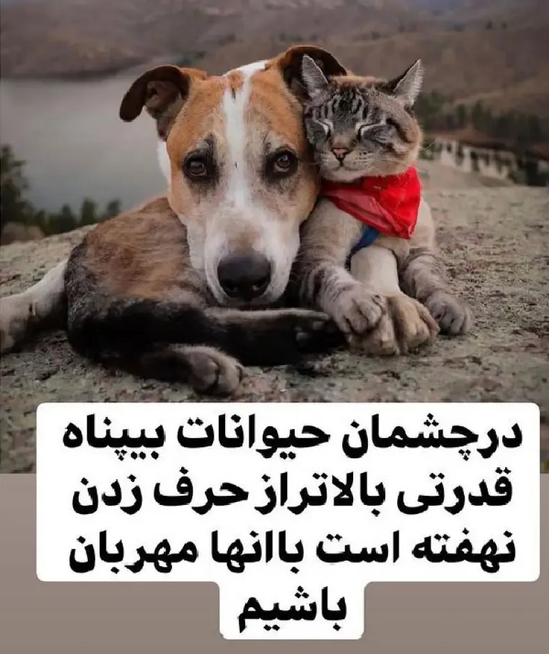 جملات عاشقانه درباره حیوانات