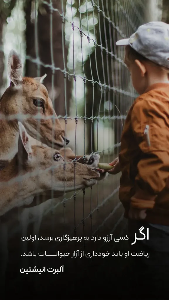 دلنوشته احساسی برای استوری حیوانات