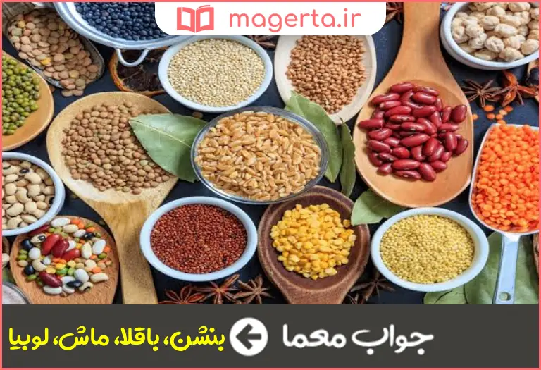 جواب معما دانه های خوراکی در جدول