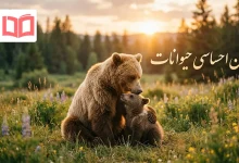 متن احساسی حیوانات