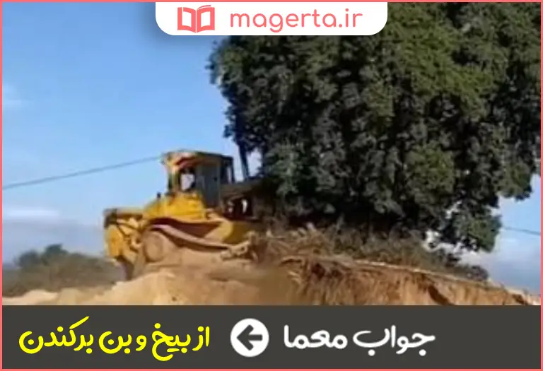 جواب معما ریشه کن ساختن در جدول