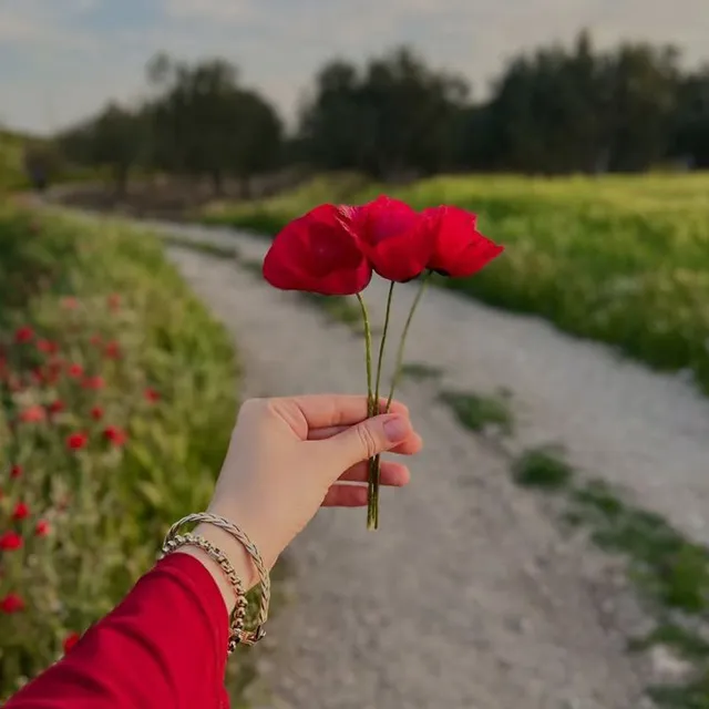 عکس پروفایل طبیعت زیبا