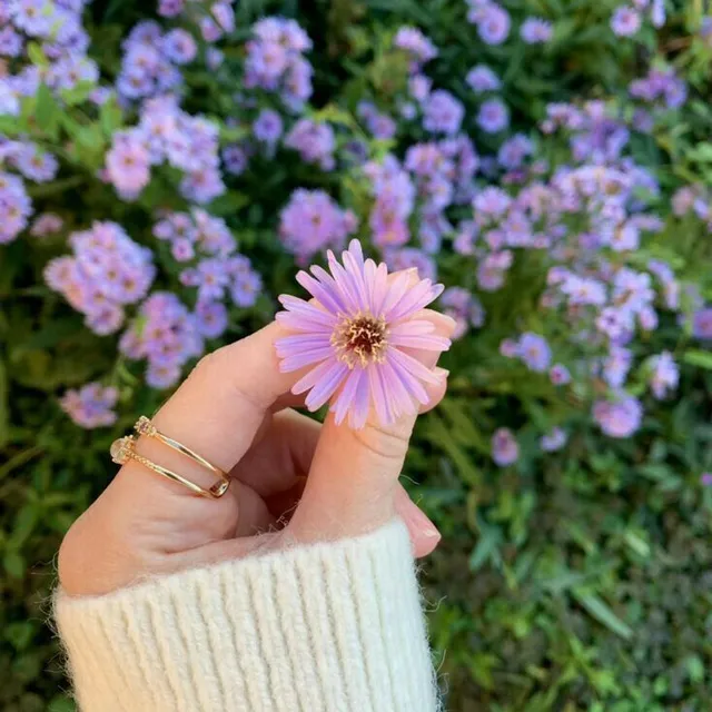 عکس گل بهاری برای پروفایل