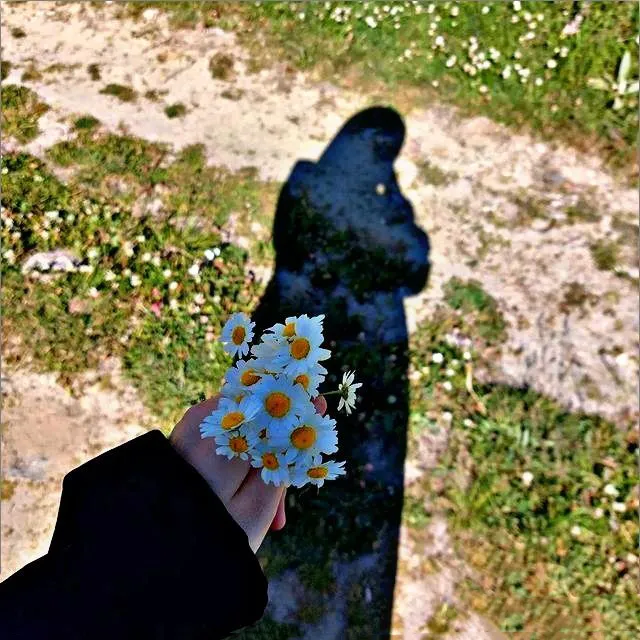 عکس پروفایل شکوفه