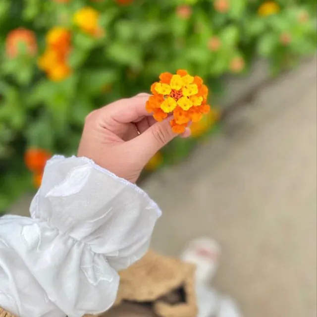 عکس پروفایل گل
