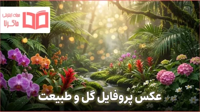 عکس پروفایل گل و طبیعت