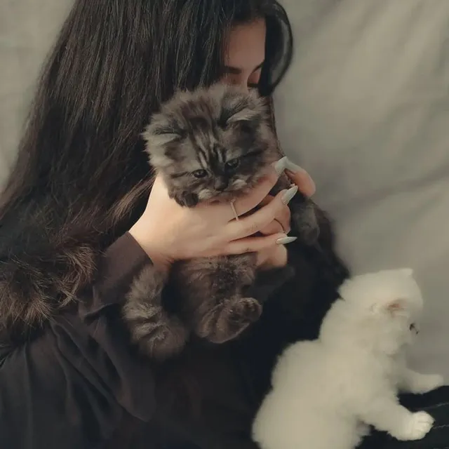 عکس پروفایل cat girl