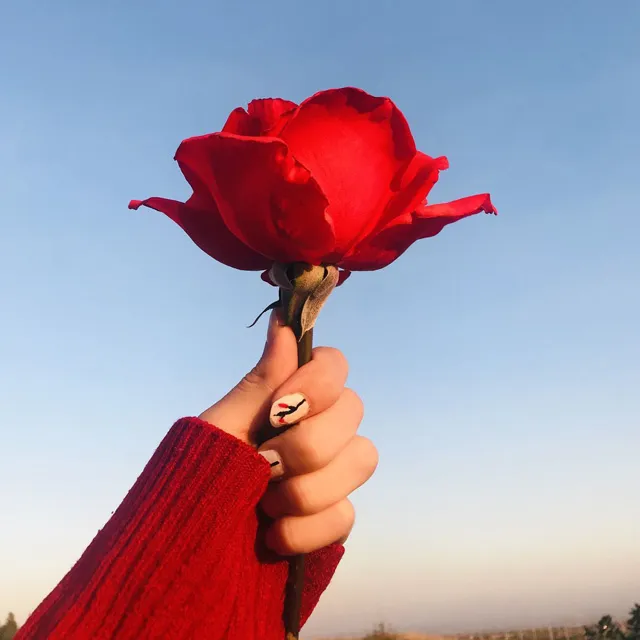 عکس قرمز برای پروفایل