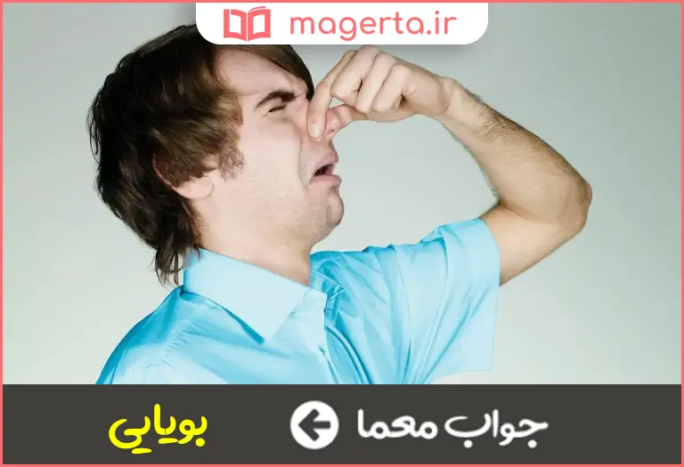 جواب معما شم در جدول